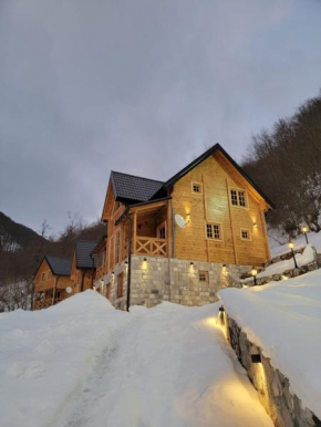 Planinska kuca Grujic Kolašin